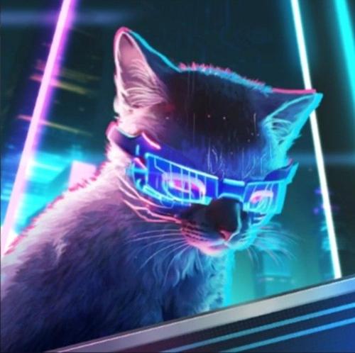 FURY丶MertCan